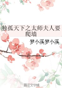 独孤天下之太师夫人要爬墙