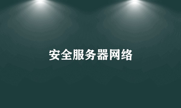 安全服务器网络