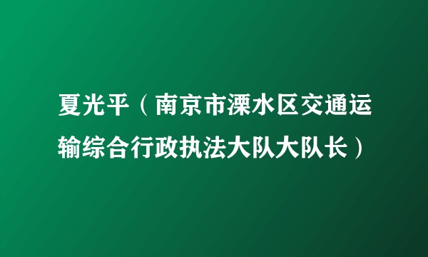 夏光平（南京市溧水区交通运输综合行政执法大队大队长）