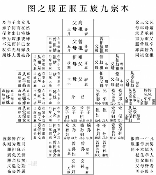 从孙