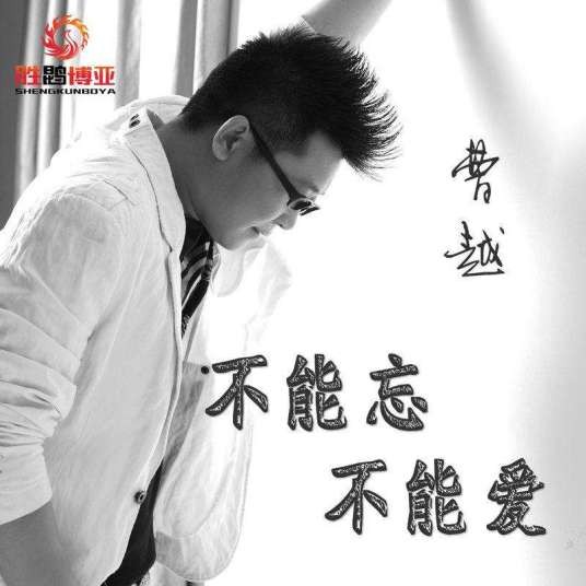 不能忘不能爱（曹越演唱的歌曲）