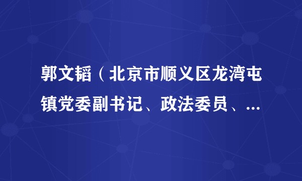 郭文韬（北京市顺义区龙湾屯镇党委副书记、政法委员、镇总工会主席）