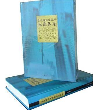 企业规范化管理标准体系