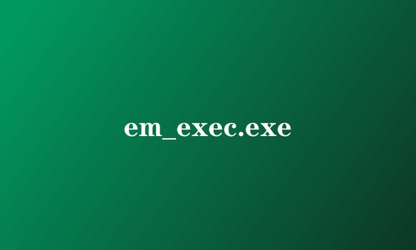em_exec.exe