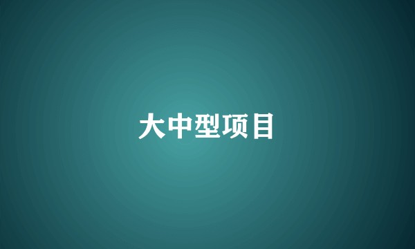 大中型项目