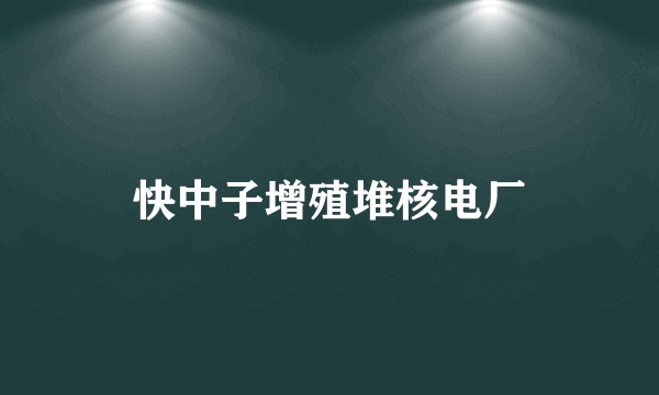 快中子增殖堆核电厂