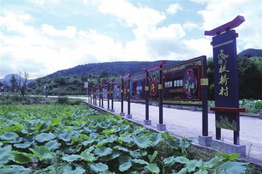 板桥村（云南省曲靖宣威市板桥镇板桥村委会）