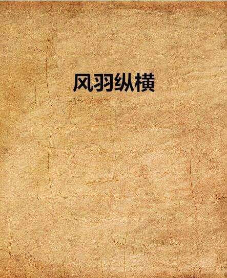风羽纵横