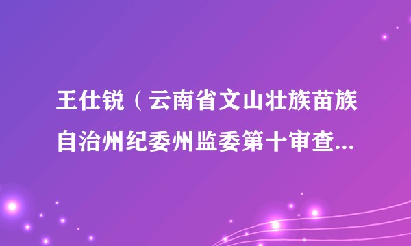 王仕锐（云南省文山壮族苗族自治州纪委州监委第十审查调查室主任）