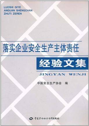 落实企业安全生产主体责任经验文集