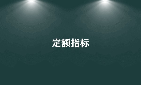 定额指标