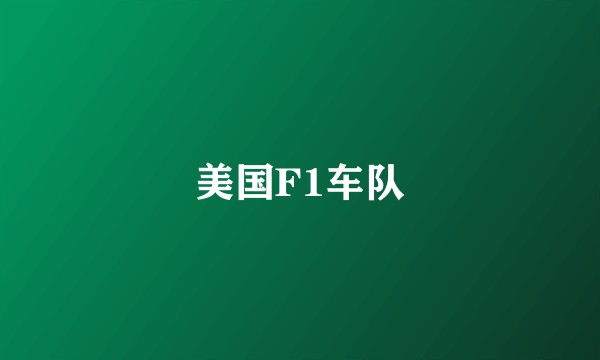美国F1车队