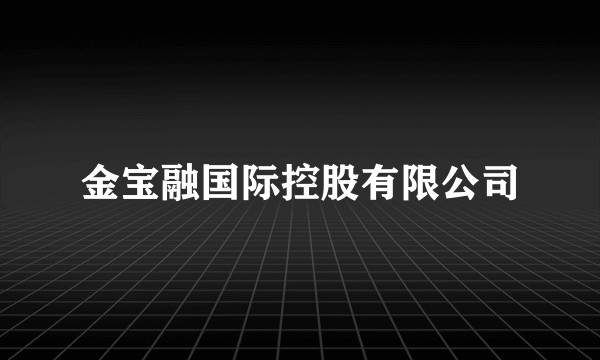 金宝融国际控股有限公司