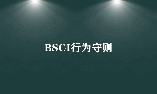 BSCI行为守则