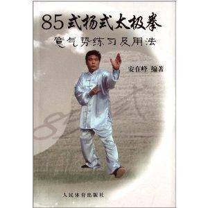 85式杨式太极拳意气势练习及用法