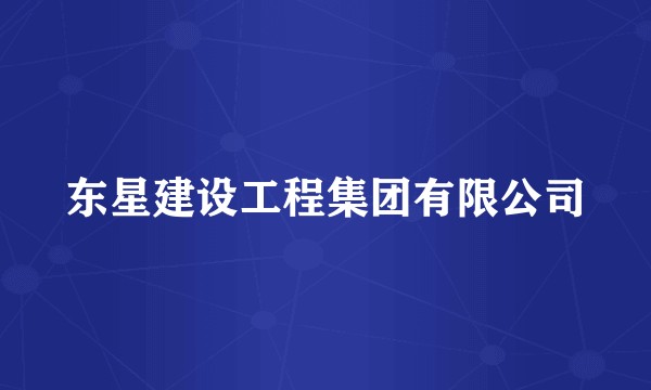 东星建设工程集团有限公司