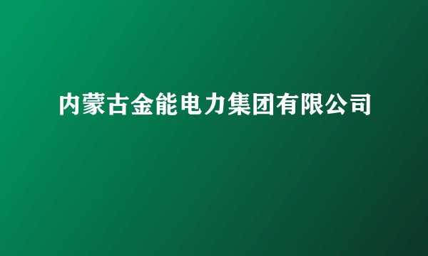 内蒙古金能电力集团有限公司