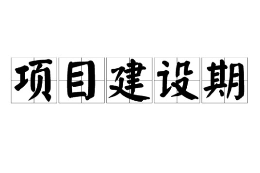 项目建设期