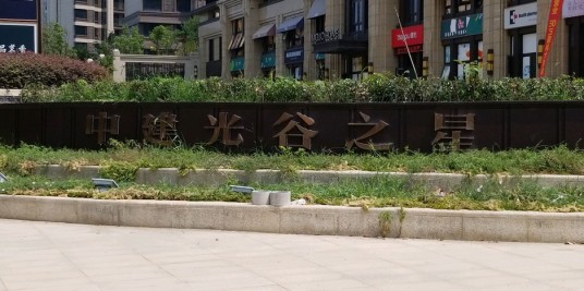 中建光谷之星