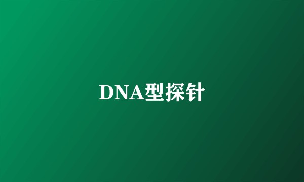DNA型探针