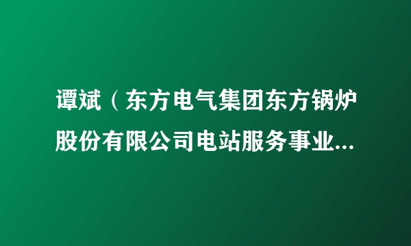 谭斌（东方电气集团东方锅炉股份有限公司电站服务事业部总经理）
