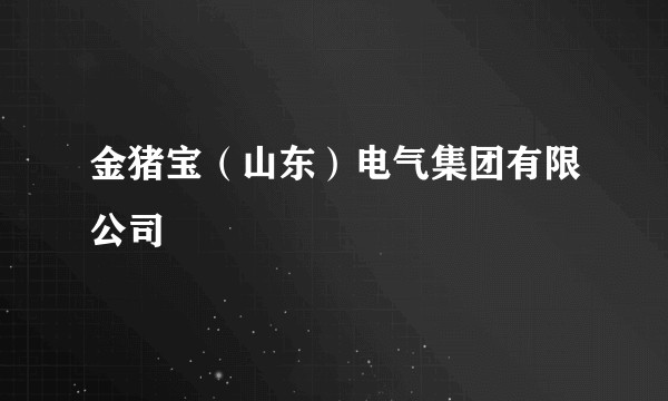 金猪宝(山东)电气集团有限公司