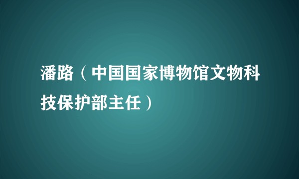 潘路（中国国家博物馆文物科技保护部主任）