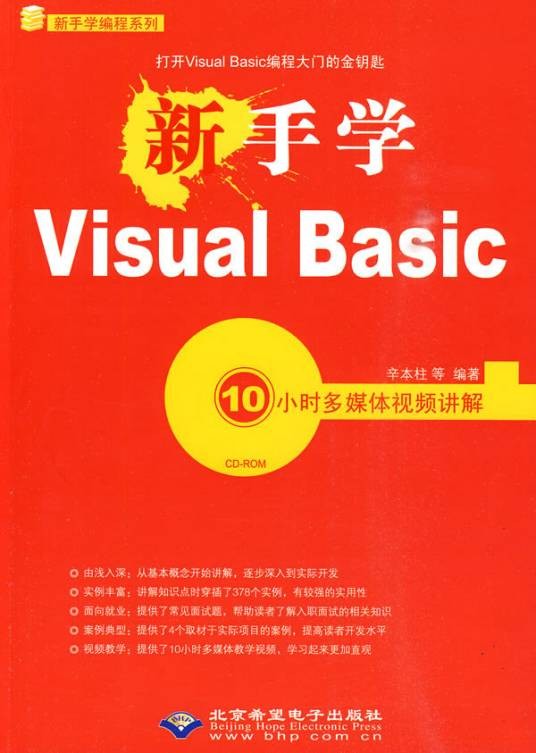 新手学VisualBasic