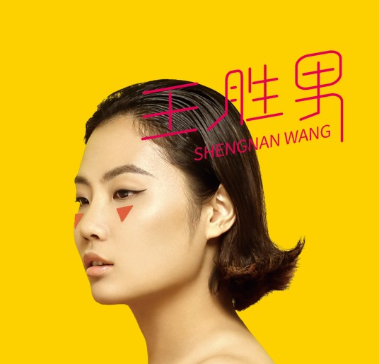 王胜男（王胜男同名专辑）