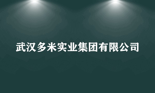 武汉多米实业集团有限公司