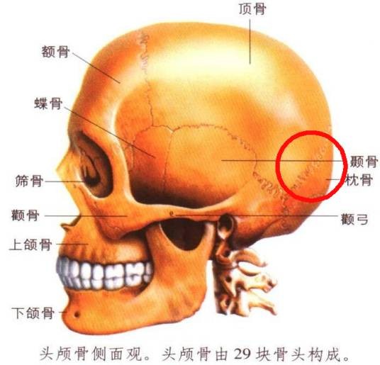人字缝