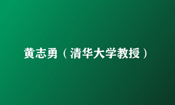 黄志勇（清华大学教授）