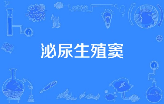 泌尿生殖窦