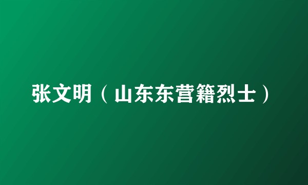 张文明（山东东营籍烈士）