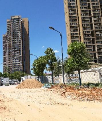 港湾江城