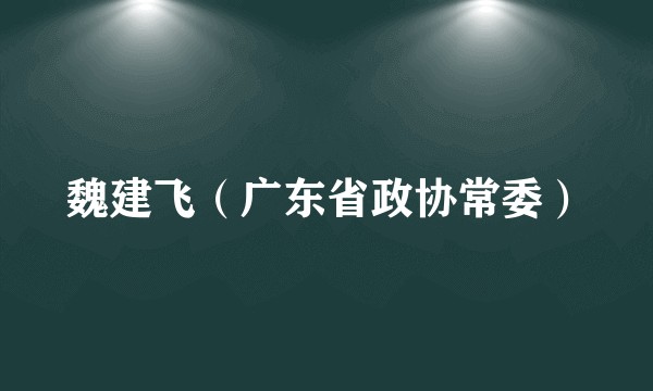 魏建飞（广东省政协常委）