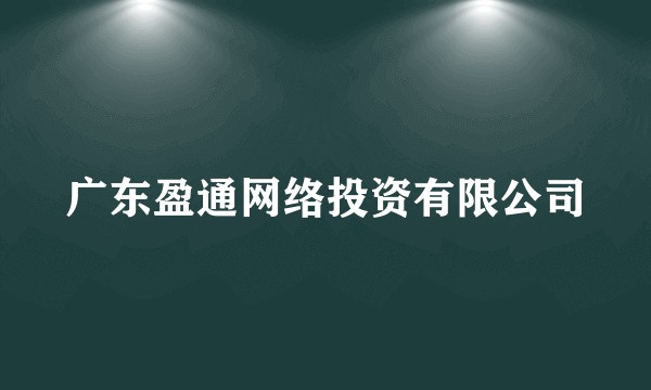 广东盈通网络投资有限公司