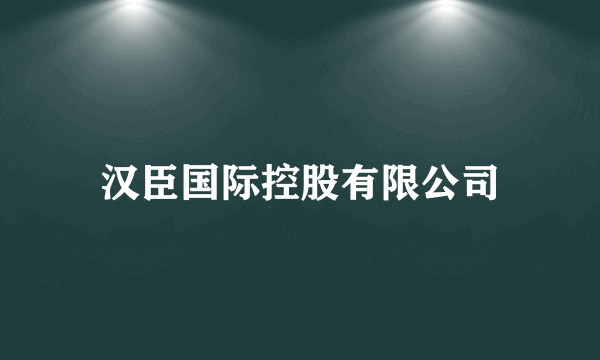 汉臣国际控股有限公司