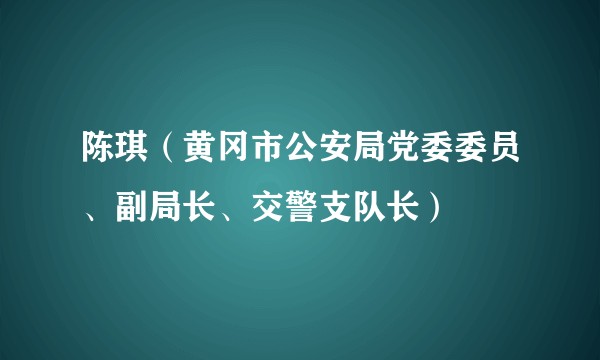 陈琪(黄冈市公安局党委委员、副局长、交警支队长)