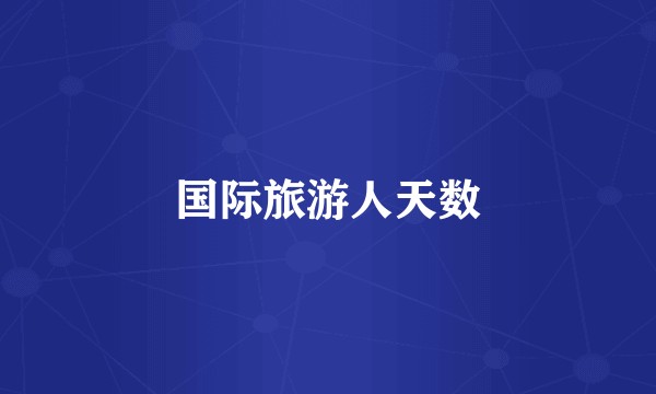 国际旅游人天数