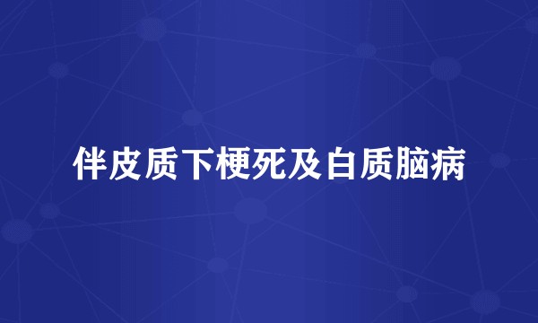 伴皮质下梗死及白质脑病