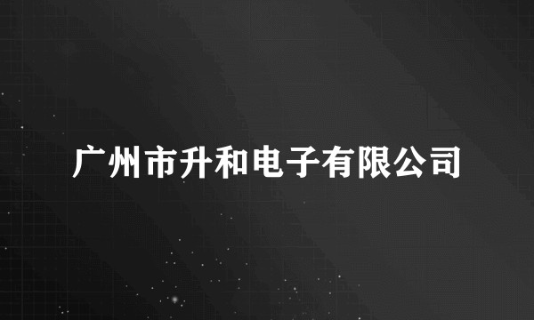 广州市升和电子有限公司