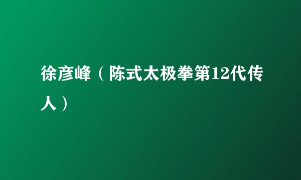 徐彦峰（陈式太极拳第12代传人）