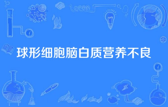 球形细胞脑白质营养不良