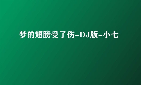 梦的翅膀受了伤-DJ版-小七