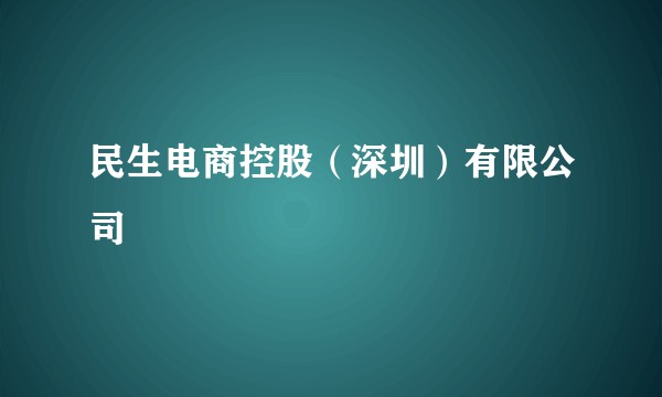 民生电商控股（深圳）有限公司