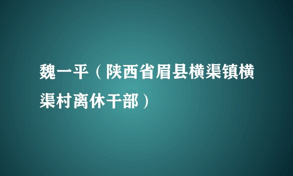 魏一平（陕西省眉县横渠镇横渠村离休干部）