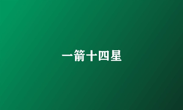 一箭十四星