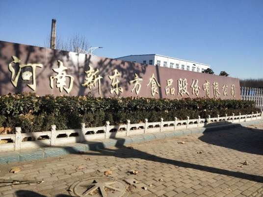 河南新东方食品股份有限公司