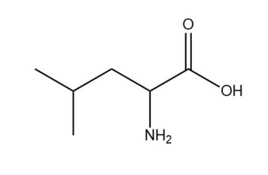 亮氨酸